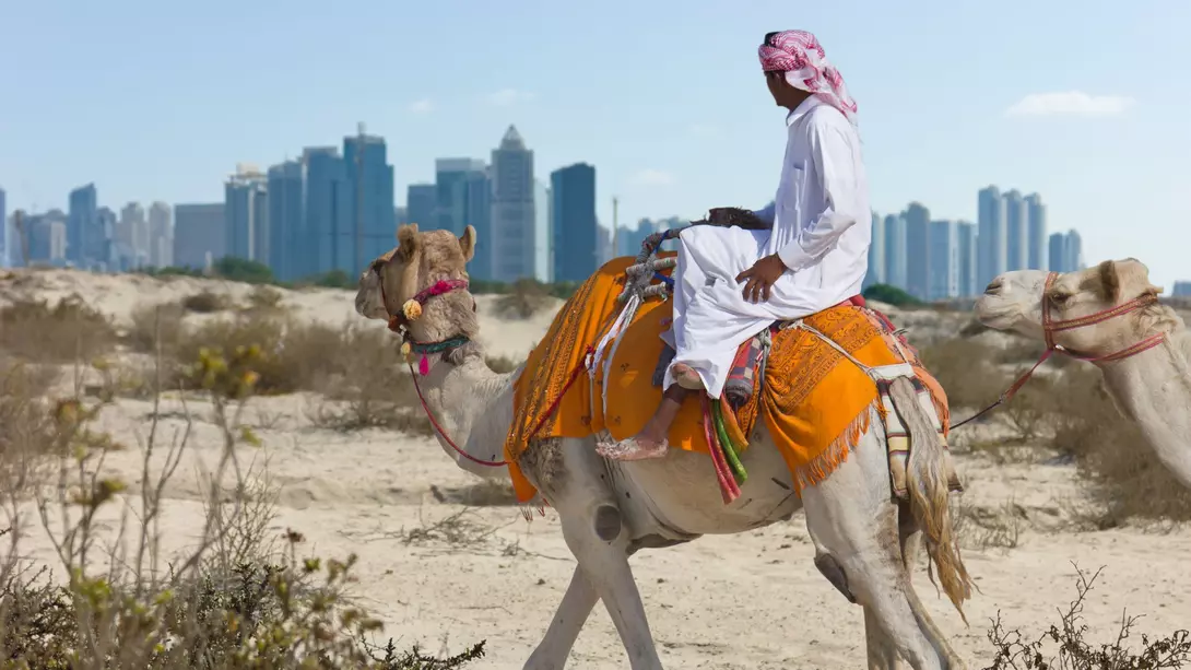 United Arab Emirates Bedouin on a Camel in the Desert Near Dubai, United Arab Emirates (UAE)