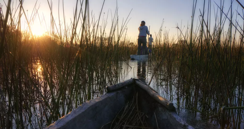 Exploring the Okavanaga by boat is always a highlight of your Maun tours. Exploring the Okavanaga by boat is always a highlight of your Maun tours.