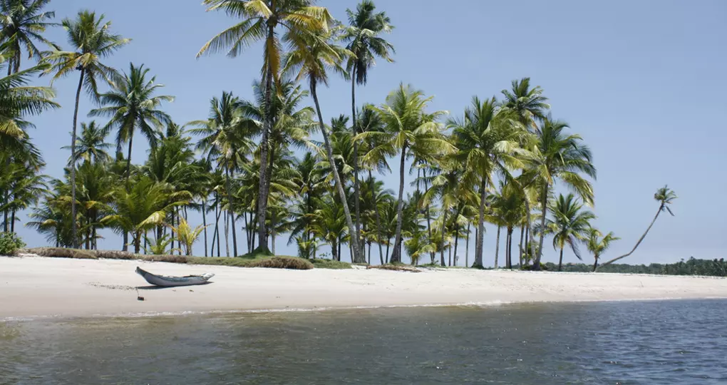 Get Salvado Travel Package on your vacations Get Salvado Travel Package on your vacations