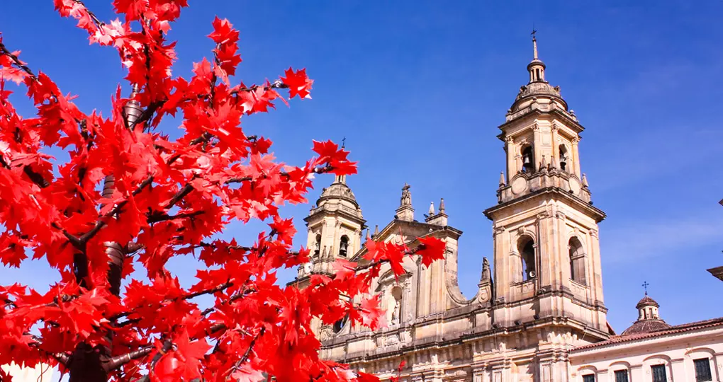 Cathedral of Bogota Cathedral of Bogota