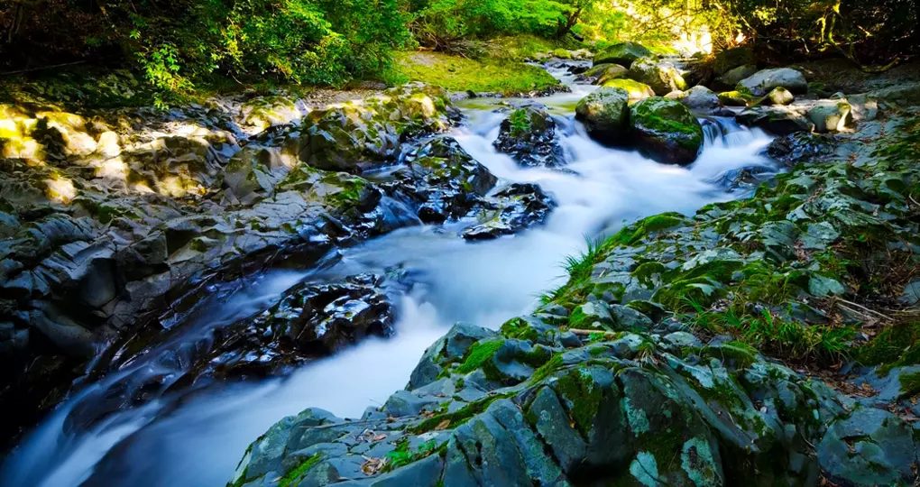 Kawazunanadaru Falls Izu National Park is a great inclusion on all Japan tours.
