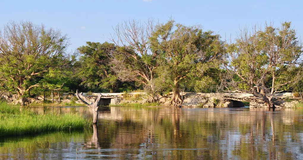The old bridge over Thamalakane River near Maun is a photo stop while on your Botswana safari. The old bridge over Thamalakane River near Maun is a photo stop while on your Botswana safari.
