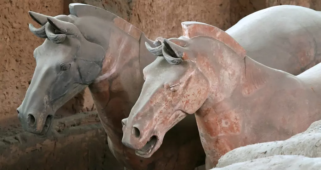 Terracotta horses