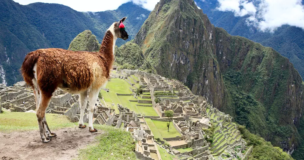 machu picchu trip machu picchu trip