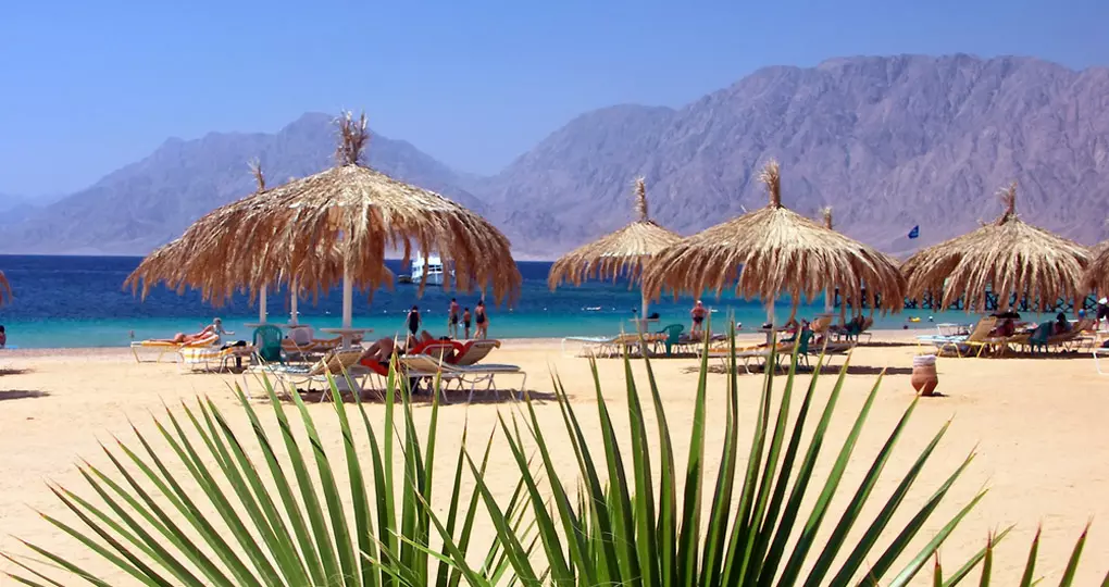 Palms and umbrellas at the Red Sea Palms and umbrellas at the Red Sea