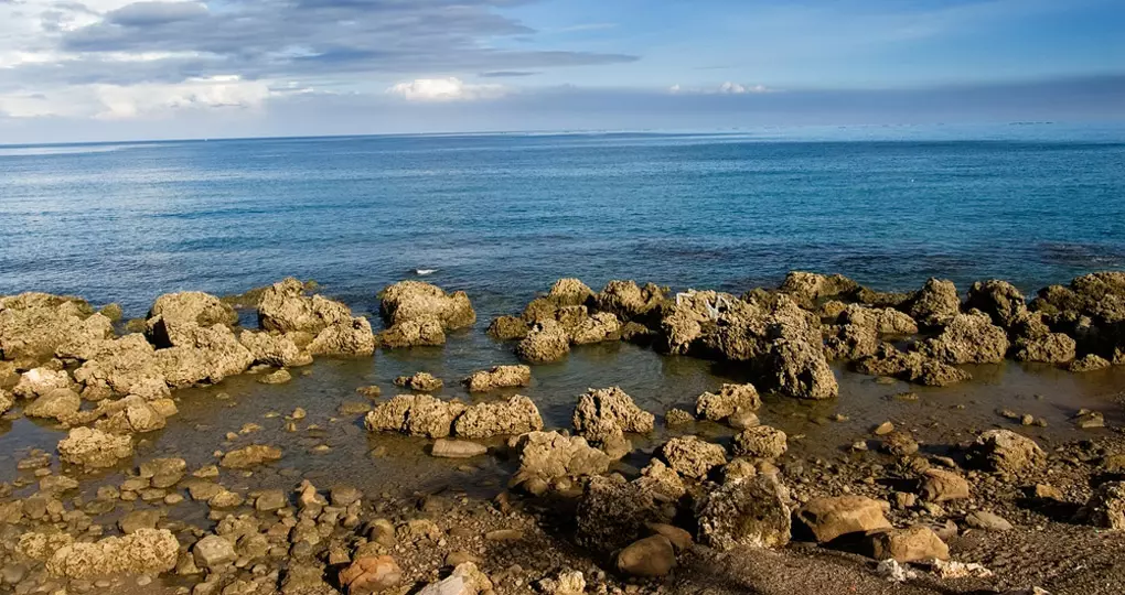 Coral reef rock coastline