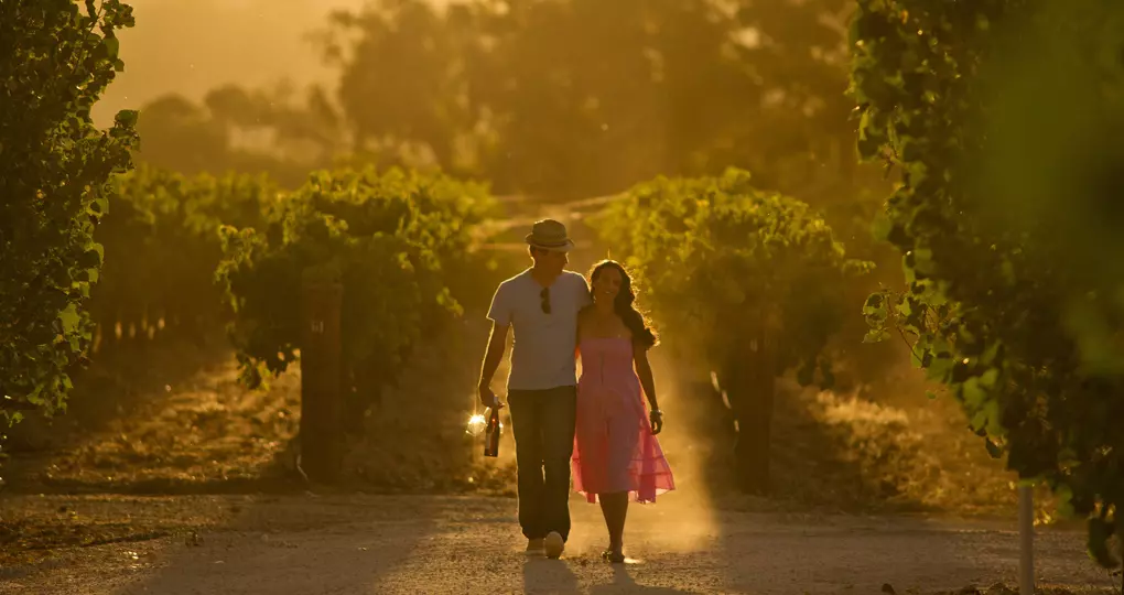 Home to Penfolds, Wolf Blass and Jacobs Creek wineries