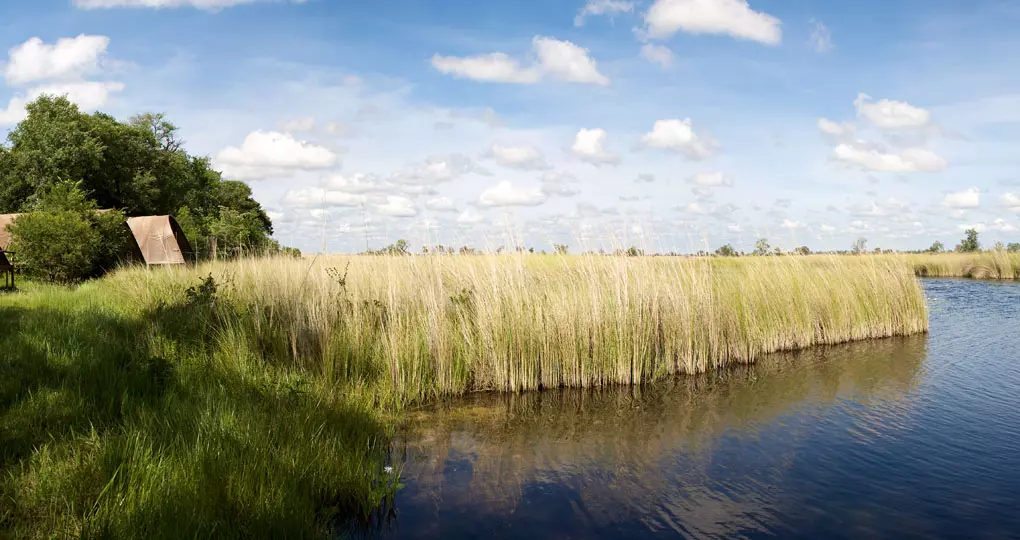 Lodge facing river, Moremi Game Reserve Lodge facing river, Moremi Game Reserve