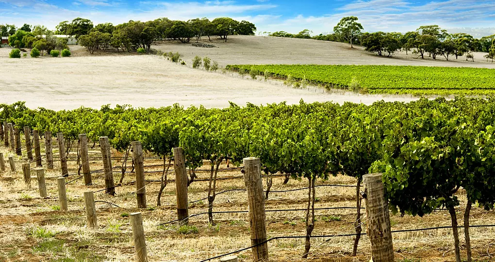 The area was shaped by the influence of German settlers