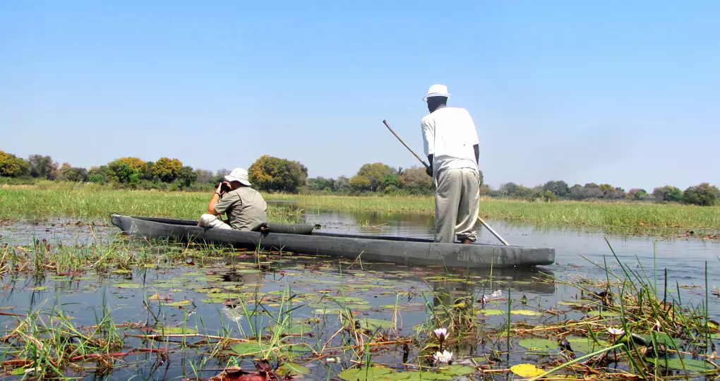 Moroko boat sailing through the Okavango