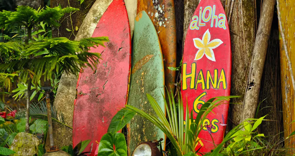 On the road to Hana