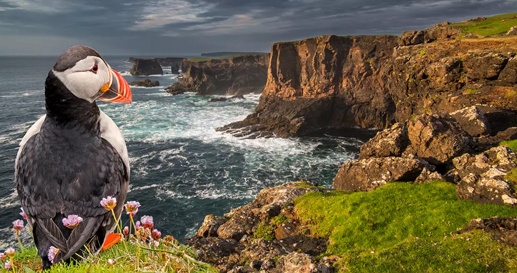 Shetland islands, Scotland