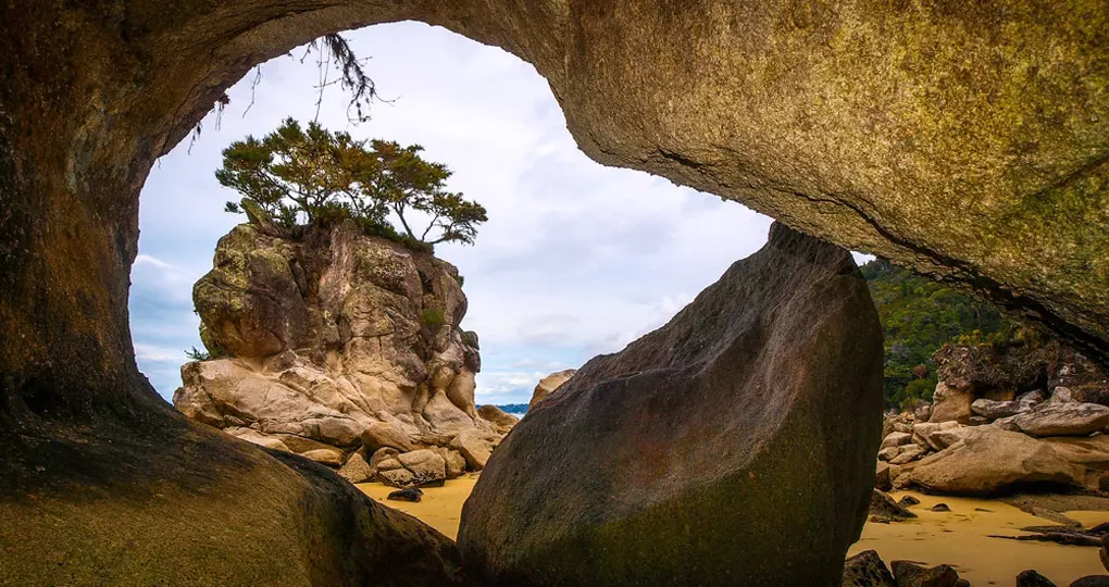 Rock shore in Abel Tasman National Park