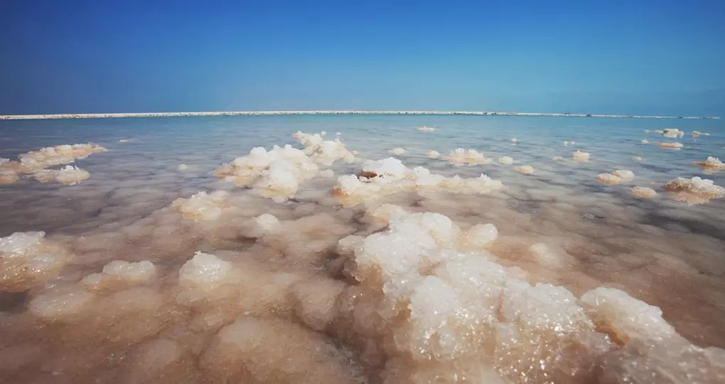 Salt in the Dead Sea Salt in the Dead Sea