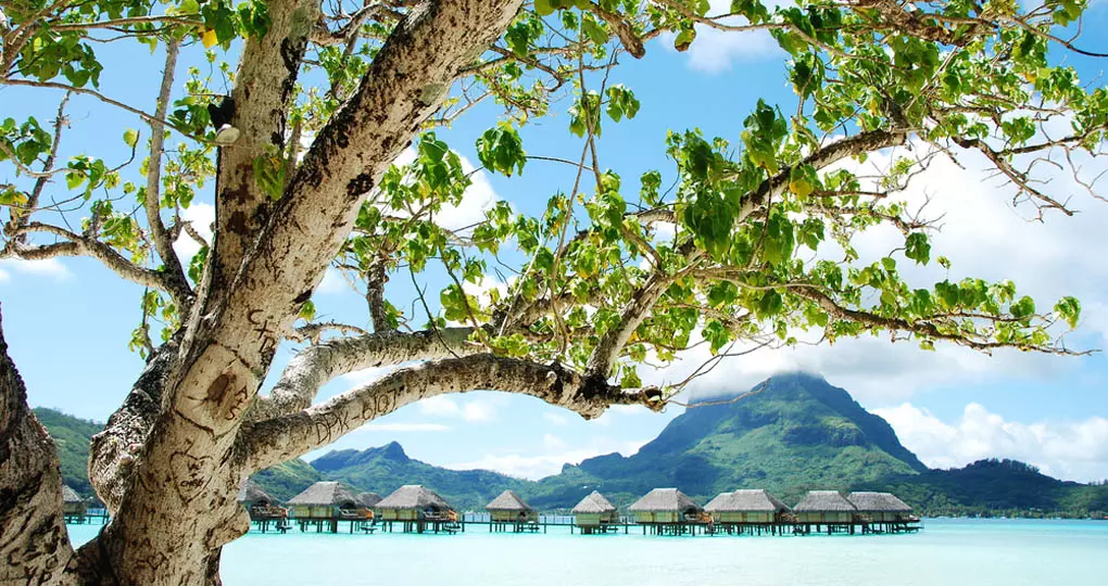 Overwater bungalows in the lagoon make for great accommodation on all Bora Bora Vacation Packages