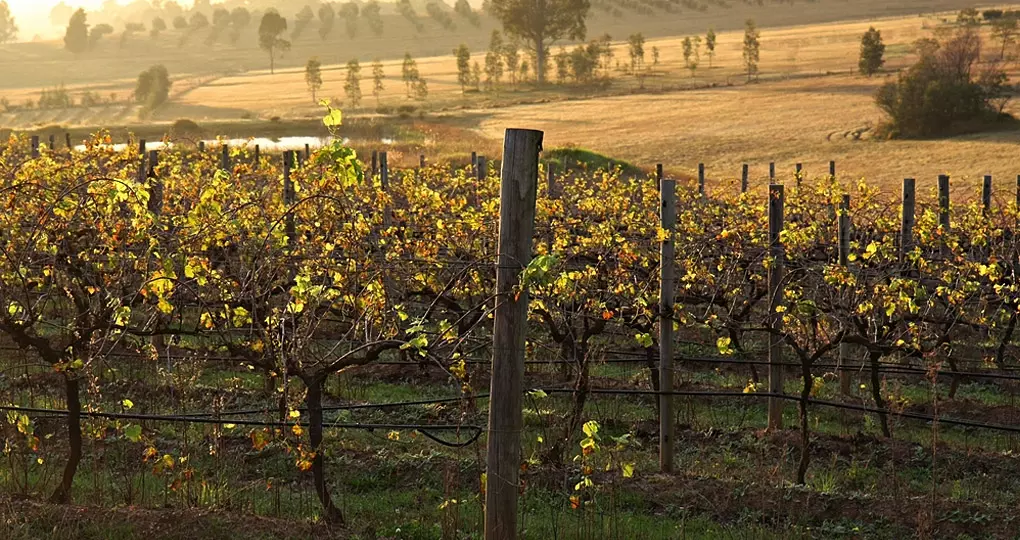 Spend your time sampling some of the world's finest wines