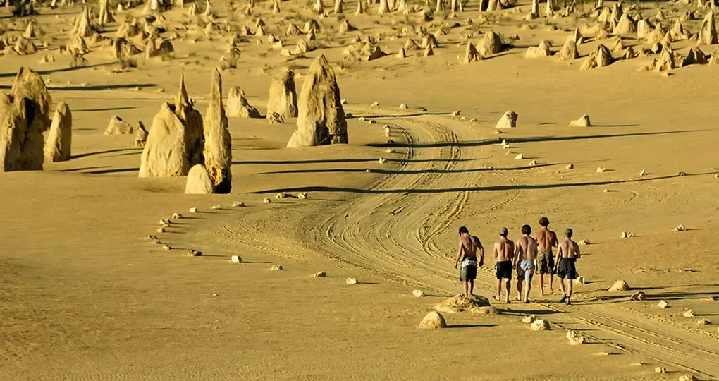 Walk the trail that includes an amazing lookout over the park