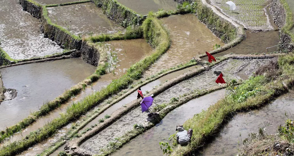 Water and rice terraces in Batad near Banaue