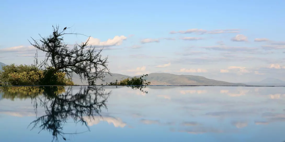 Tree and sky reflecting in flat waters of lake