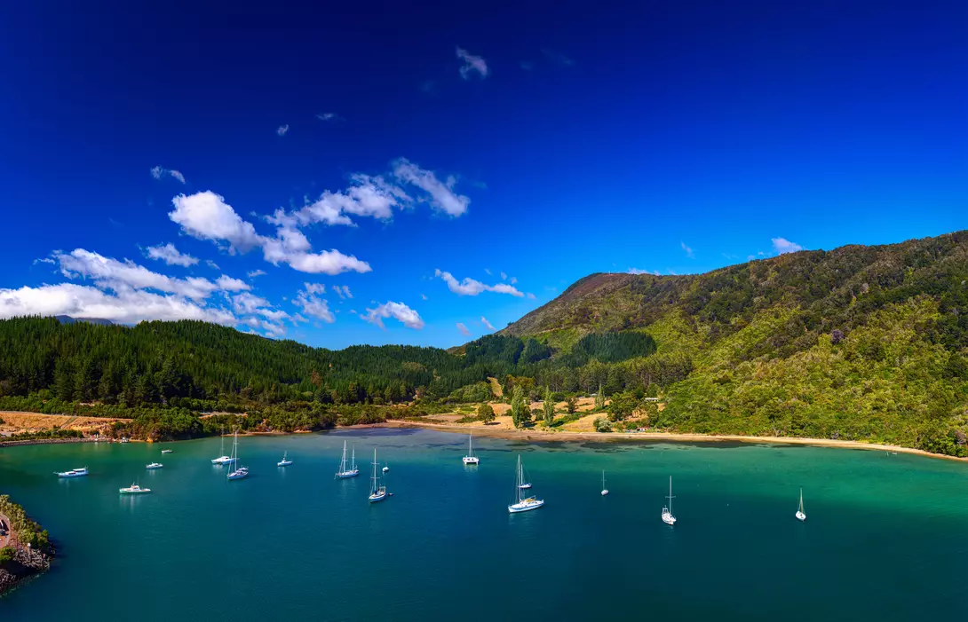 Whatamango Bay. Vicinity of Picton town, New Zealand.