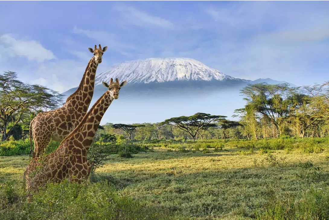 Amboseli National Park