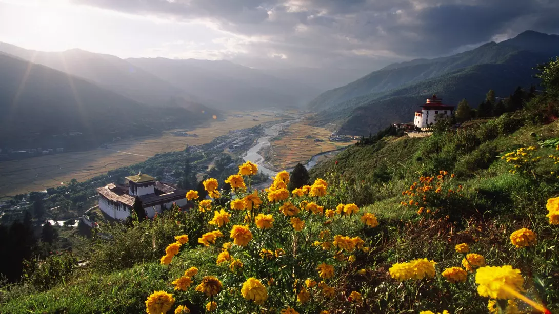 Dark clouds and yellow flowers in Paro Valley along the banks of the Paro Chhu River
