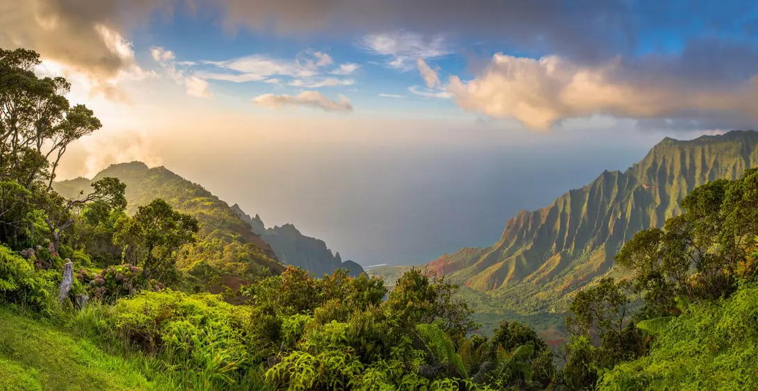 Aerial view over lush green forest and pacific ocean