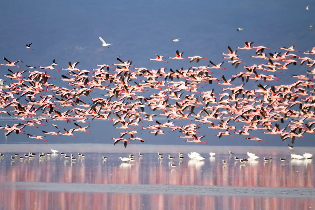 Lake Manyara