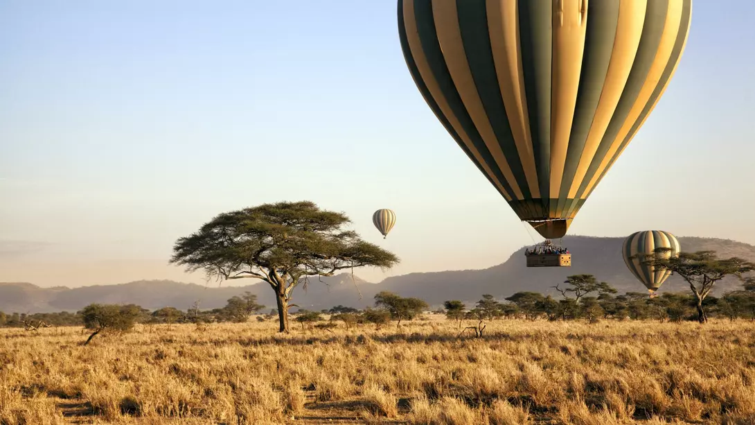 Three hot air balloons drift over the plains of The Serengeti National Park at dawn.
