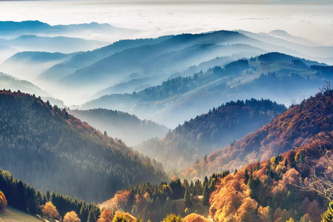 Scenic mountain landscape view on the forest, covered in fog. 