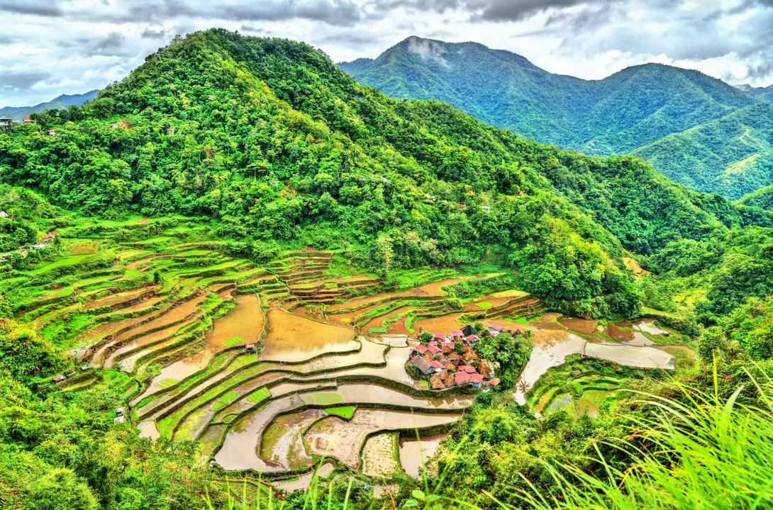Rice Terraces with rolling mountains in the background