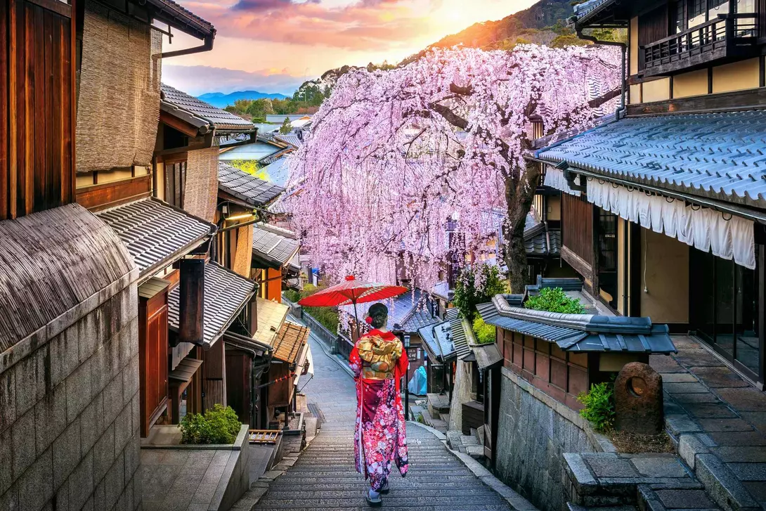 A person in a colorful kimono walks down a historic street with cherry blossoms and a sunset in the background.