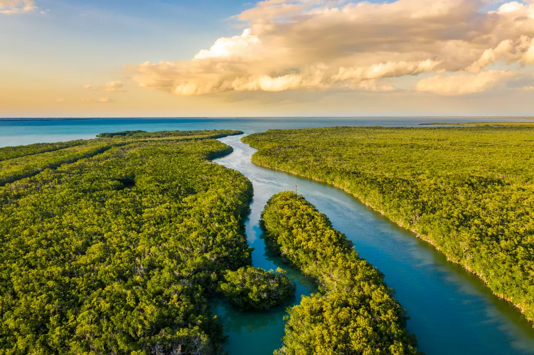 Landscape with an aerial view of wetlands in Everglades National Park at sunset