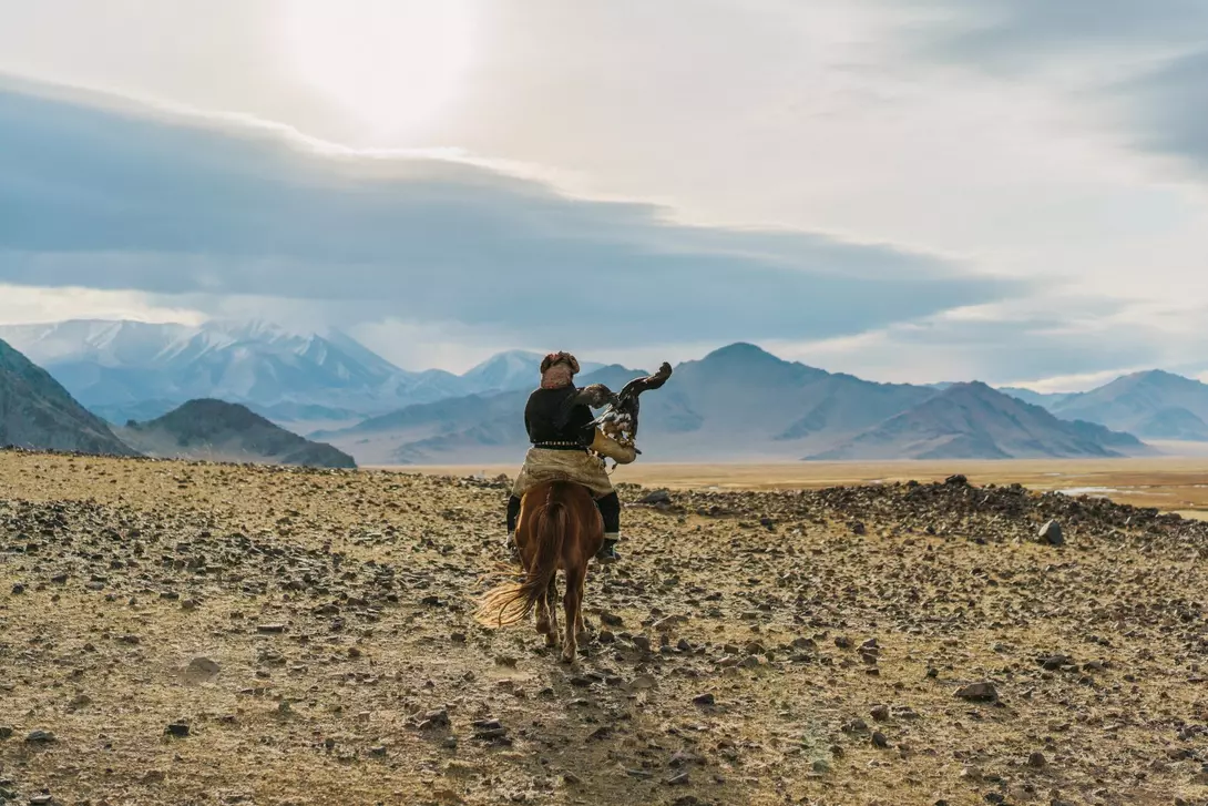 Eagle hunter on horse in desert in Mongolia