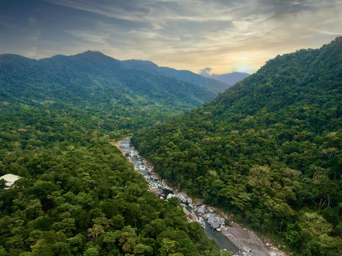 The Cangrejal River borders the rainforest of Pico Bonito National Park and offers some of the best whitewater rafting opportunities in Central America