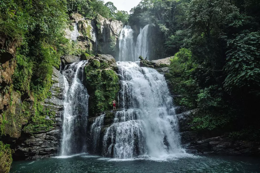 Tall beautiful waterfalls in a lush green rainforest 