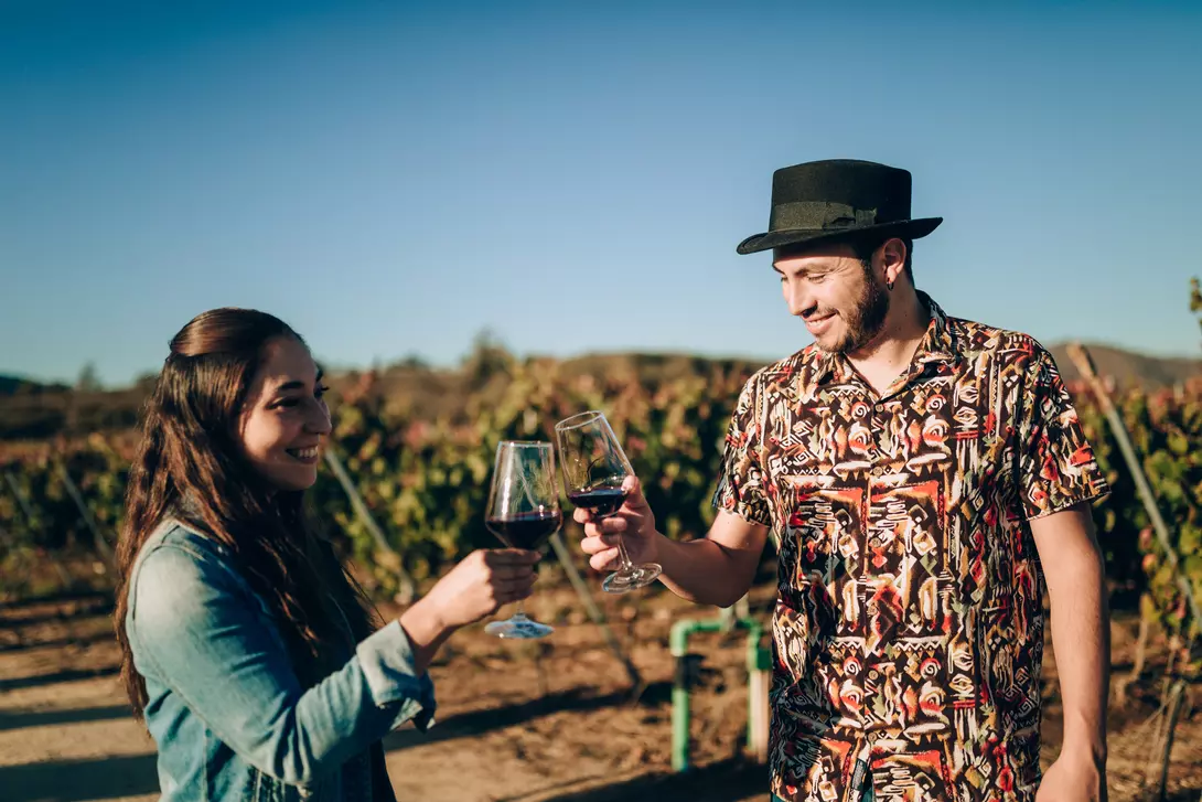 A man and woman clink their wine glasses together in a vineyard, smiling against a clear blue sky.