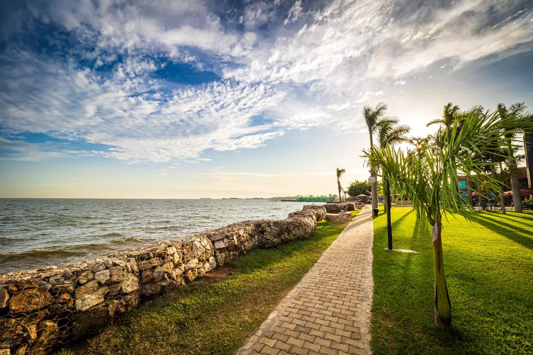 Lake Victoria, Entebbe, Uganda Sun setting behind tropical palm trees, drawing warm shadows on the meadow next to the shoreline of Lake Victoria. A pedestrian walkway leading the way along the shore