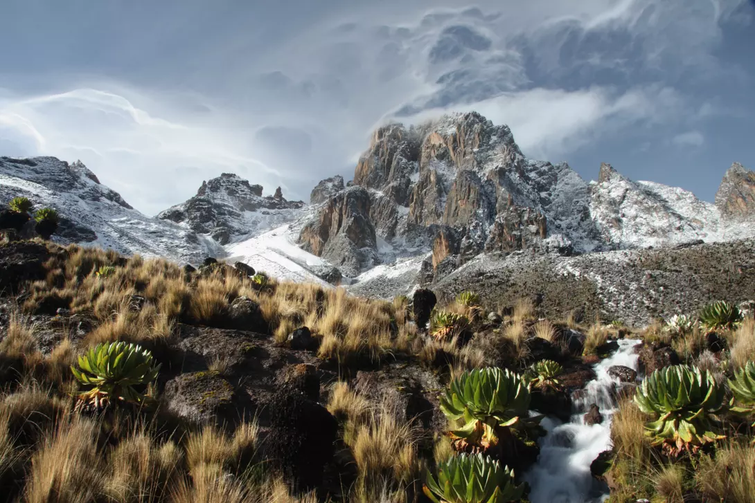 Sunrise on Mount Kenya from Shipton Camp