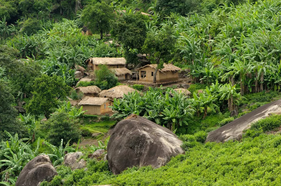 African huts in hills, among banana trees and boulders