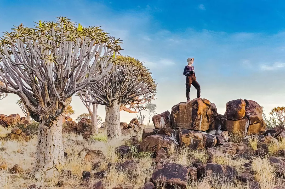 A person stands on a rock among unique trees in a grassy landscape under a blue sky.