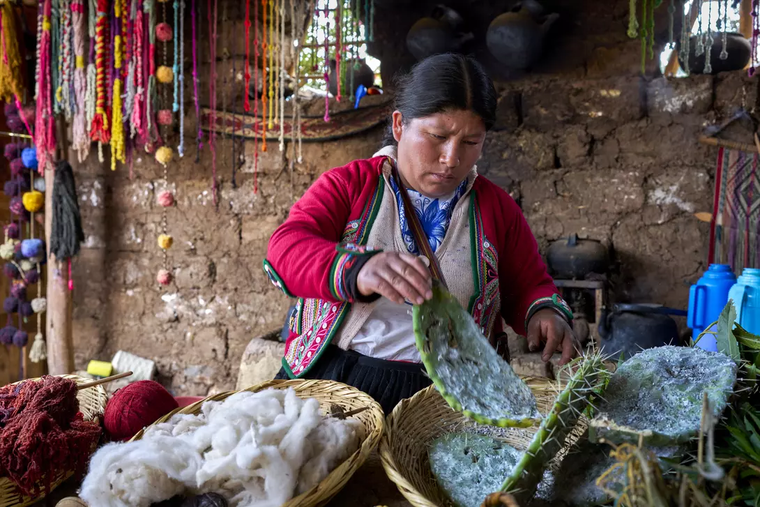 A woman works with cactus fibers and natural dyes in a craft workshop, surrounded by colorful decorations and materials.