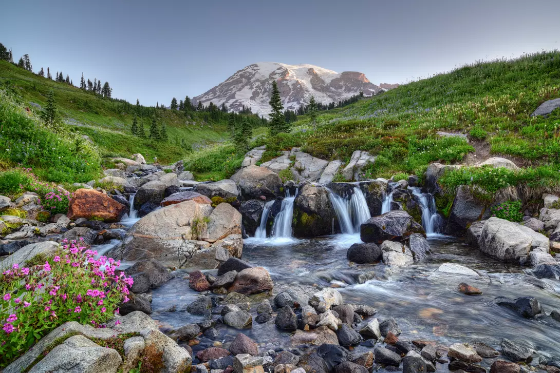 Mount Rainier in the summer with small waterfall and flowers in foreground