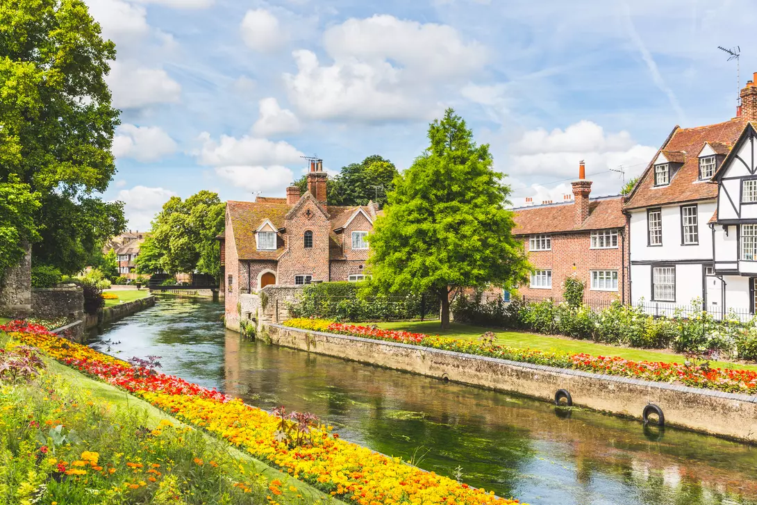 Flowers and trees along the canal in summer.