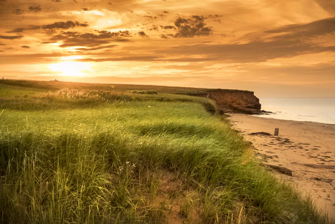 Peaceful shore of Dalvay Beach during the summer