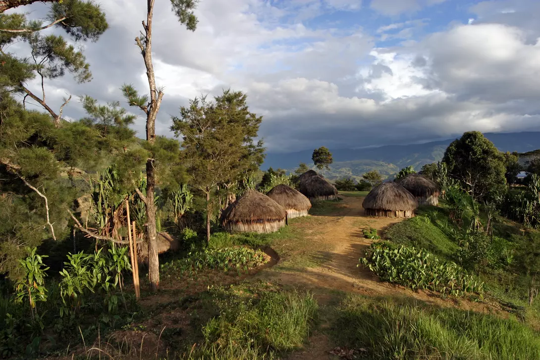 Traditional grass roof hut village in Papua New Guinea