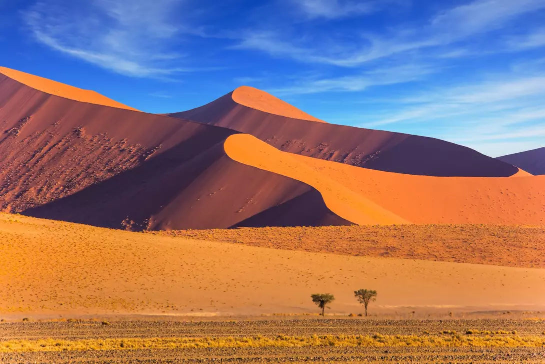 The dunes of Namib-Naukluft at sunset.