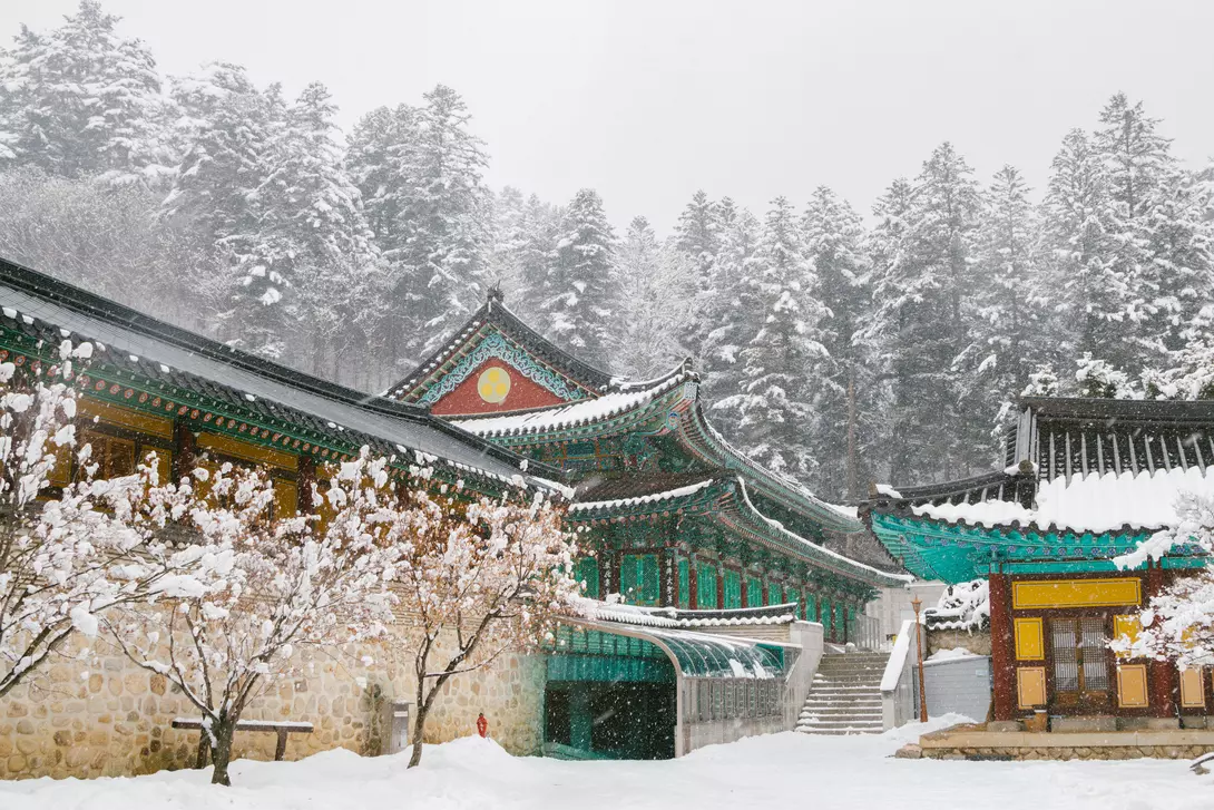 Beautiful winter landscape with snow covered trees and asian temple Odaesan Woljeongsa in Pyeongchang, Korea