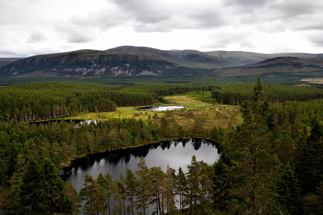 Explore the beauty of Cairngorms National Park