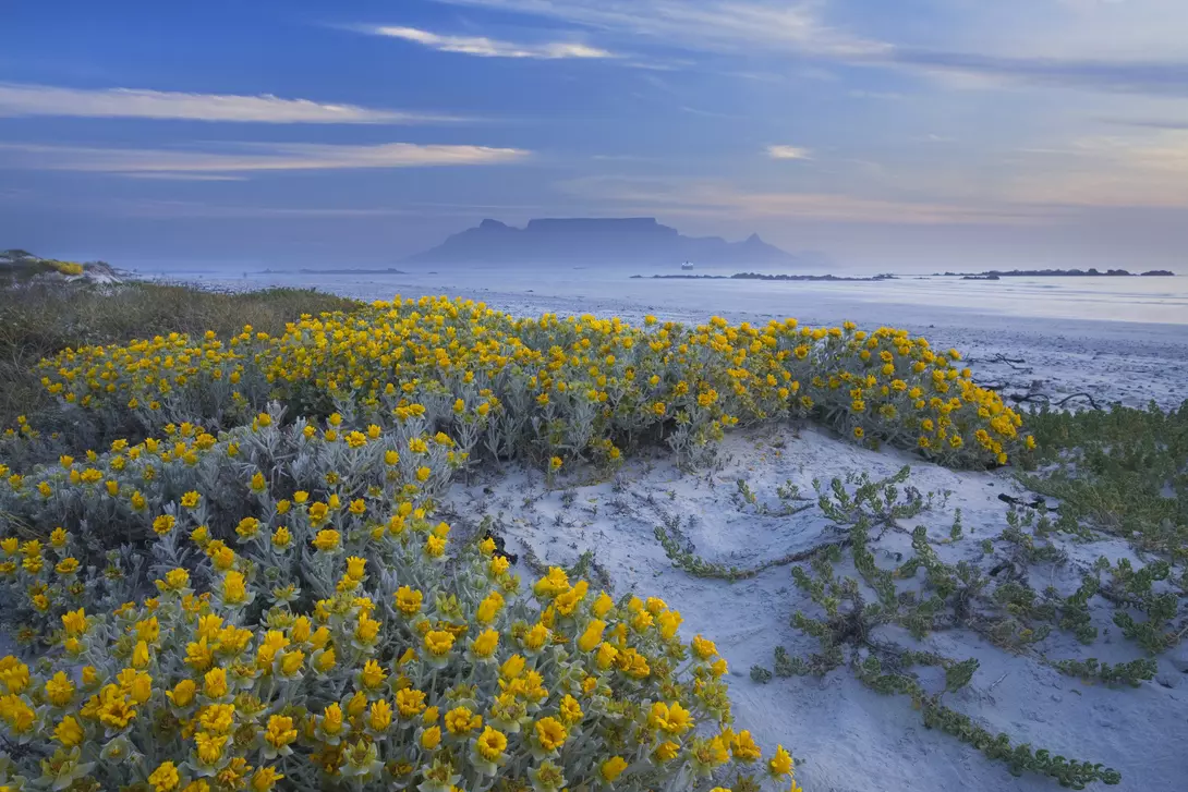 Cape Town & Table Mountain